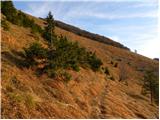 Mače - Planina Dolga njiva